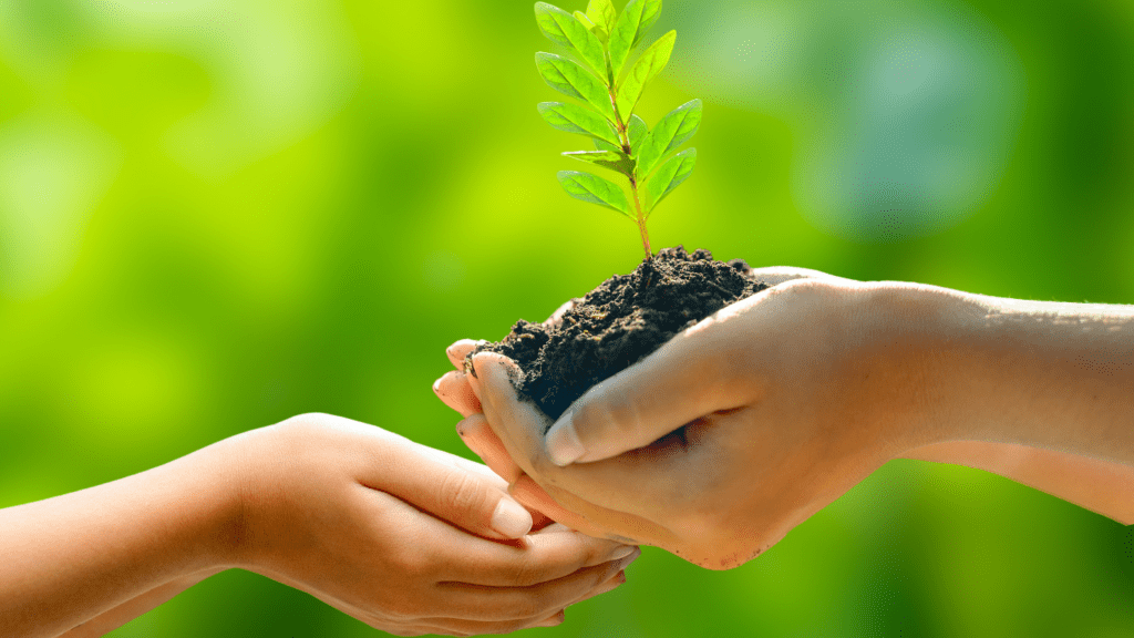 a person holding a small plant with soil