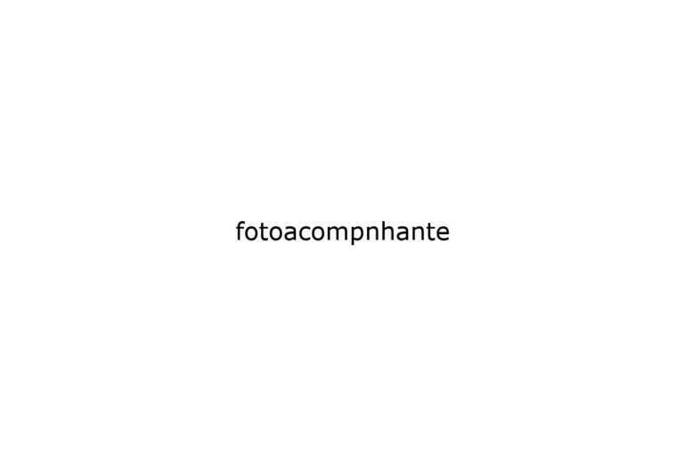 fotoacompnhante