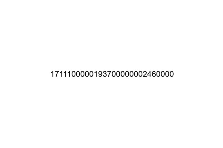 1711100000193700000002460000