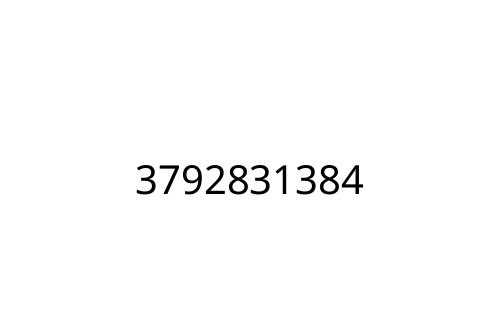 3792831384
