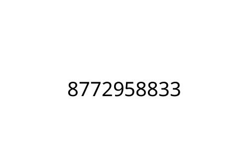 8772958833