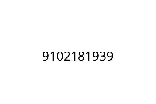 9102181939