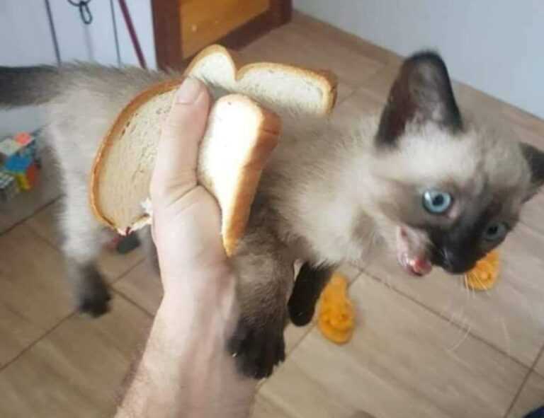 improve software 5984.jfy.587.64 version