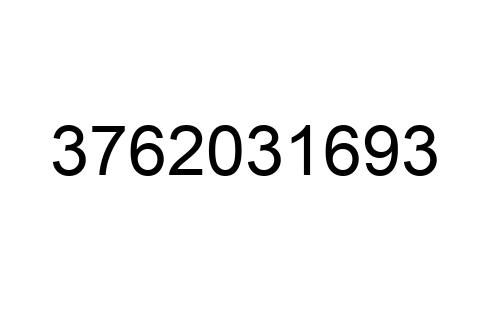 3762031693