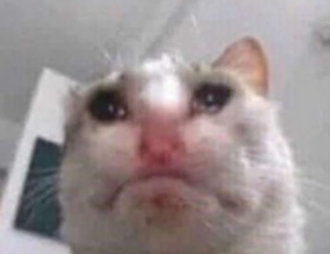 bendera palestin colouring