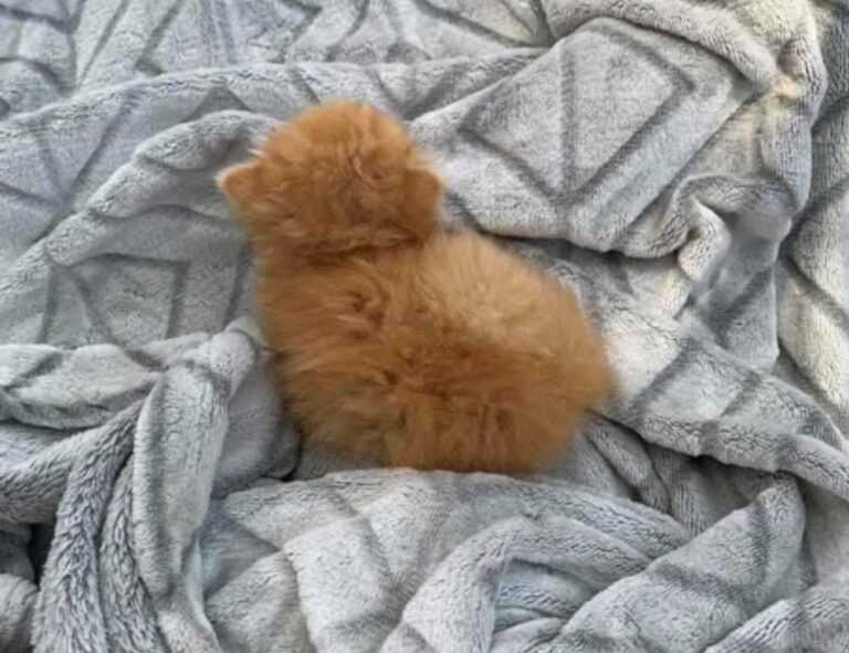 molly and jordy onlyfans