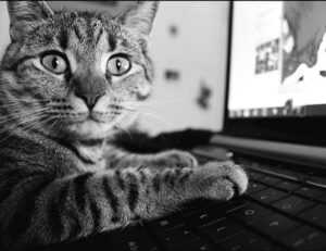 sophiesouth onlyfans