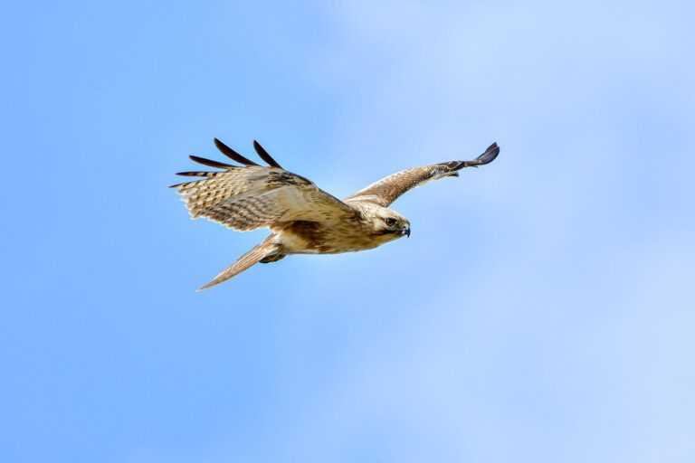 what does mhm mean on snap