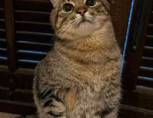 zoolo tv cindy lopez