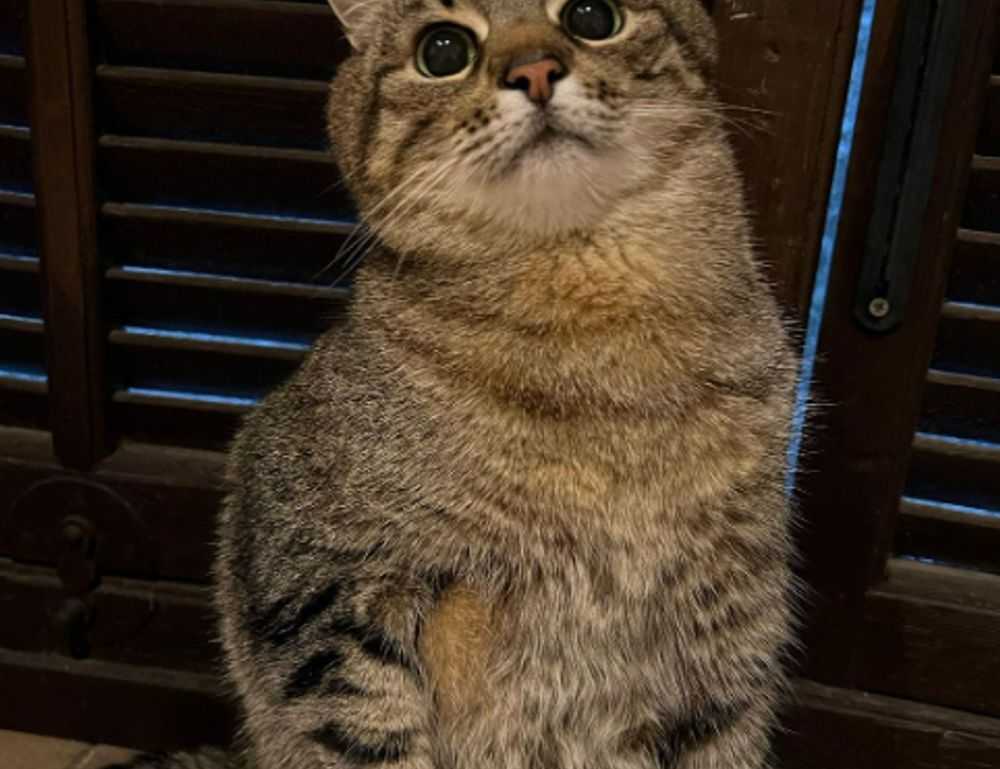 zoolo tv cindy lopez