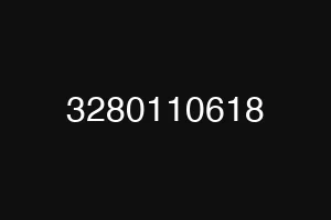 3280110618