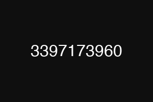 3397173960