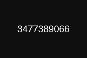3477389066
