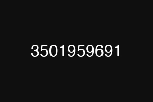 3501959691