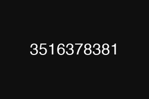 3516378381