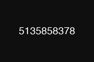 5135858378