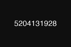 5204131928