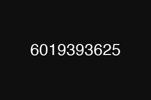 6019393625