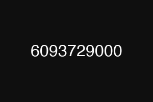 6093729000