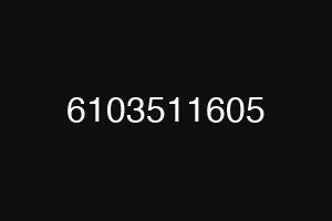 6103511605