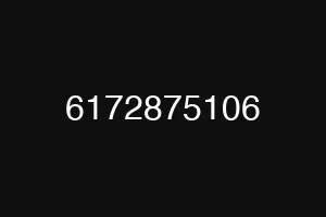 6172875106