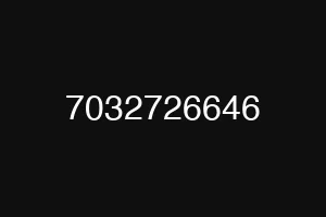7032726646