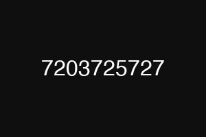7203725727
