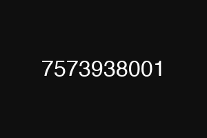 7573938001