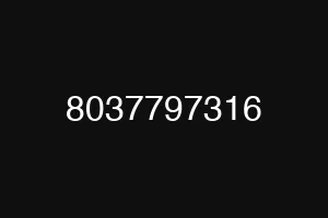 8037797316