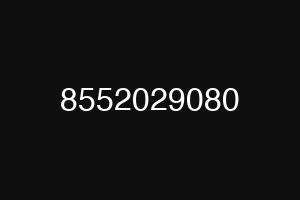 8552029080