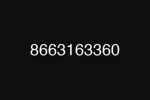 8663163360