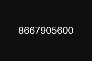 8667905600