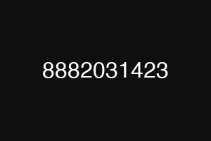 8882031423