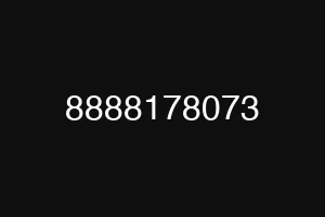 8888178073