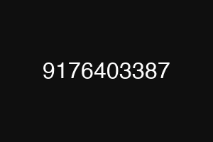 9176403387