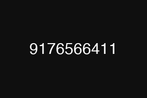 9176566411