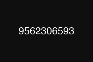 9562306593