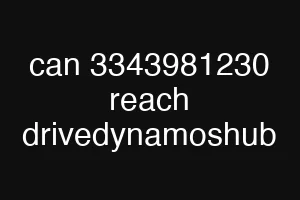 can 3343981230 reach drivedynamoshub