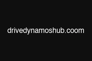 drivedynamoshub.coom