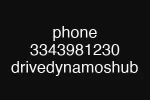 phone 3343981230 drivedynamoshub